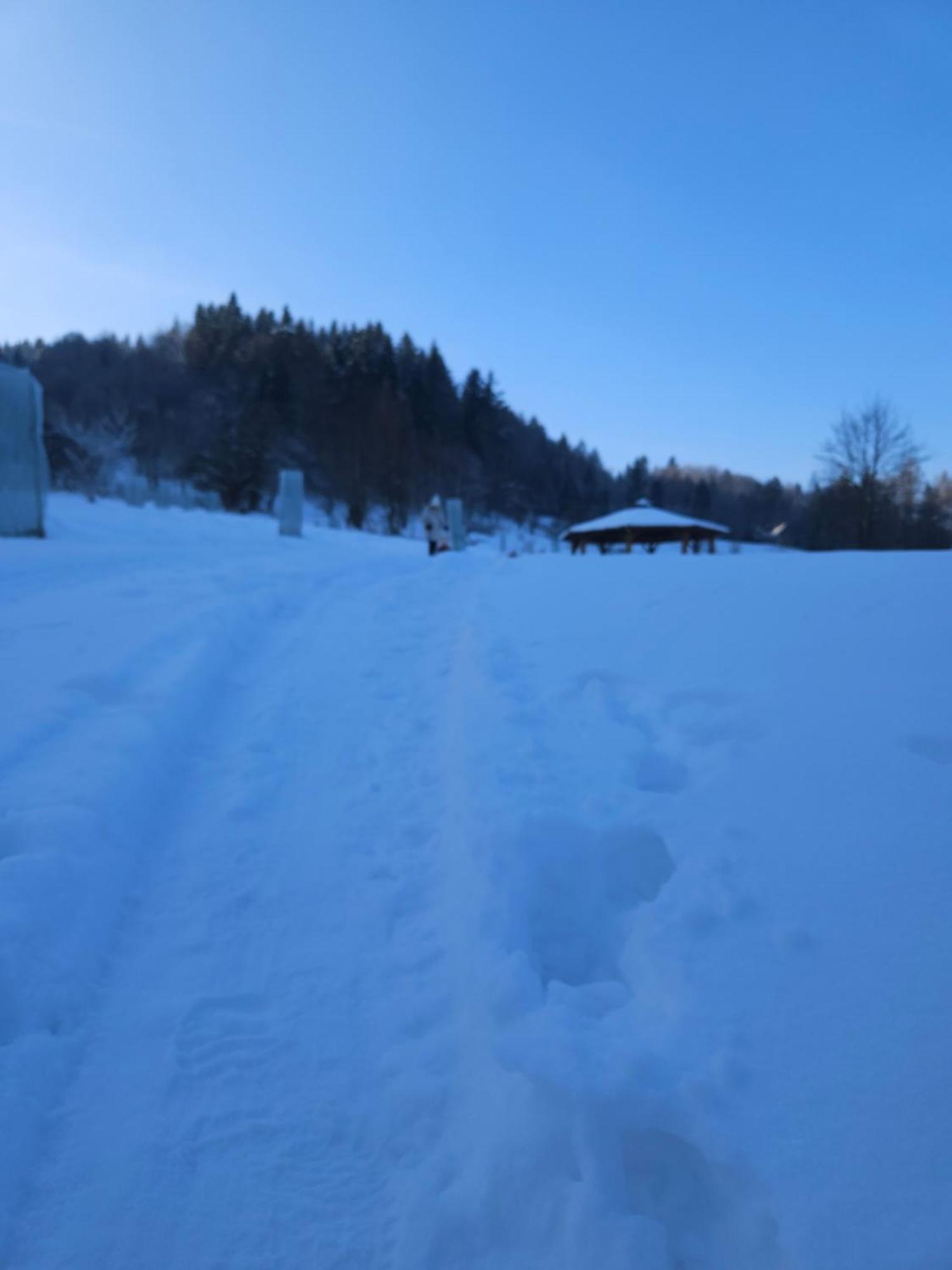 Otulina Park Bed & Breakfast Szczawnica Exterior photo